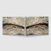 Livre D'or Crotale dans le parc national de Shenandoah (Complet)