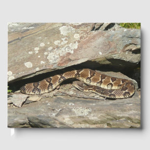 Livre D'or Crotale dans le parc national de Shenandoah