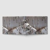 Livre D'or Curly Birch Bark Tree Rustic Guest Book (Complet)