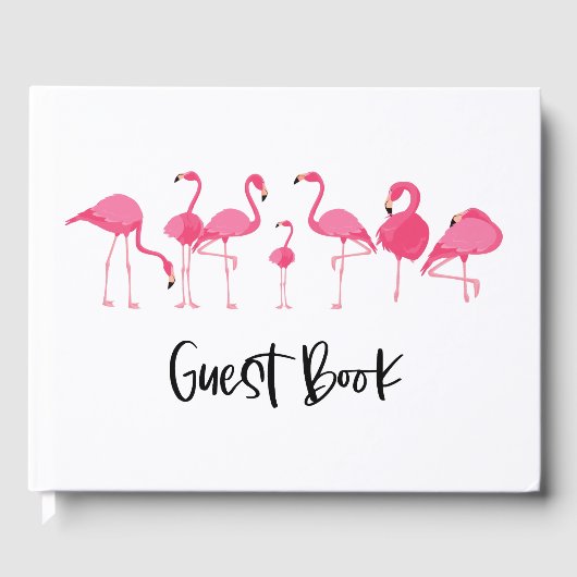 Livre d'or de location de Flamants roses roses (Recto)