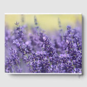 Livre d'or des funérailles de lavande | Dans la mé (Verso)