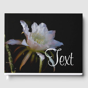 Livre D'or Élégante fleur de cactus de nuit Queen of the Nigh