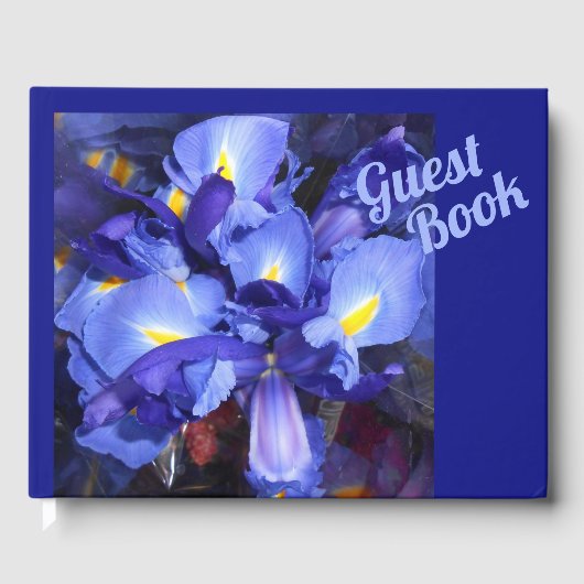 Livre D'or Ermengarde (Recto)