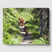 Livre D'or Famille d'ours Brown (Verso)