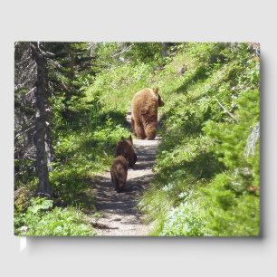 Livre D'or Famille d'ours brun