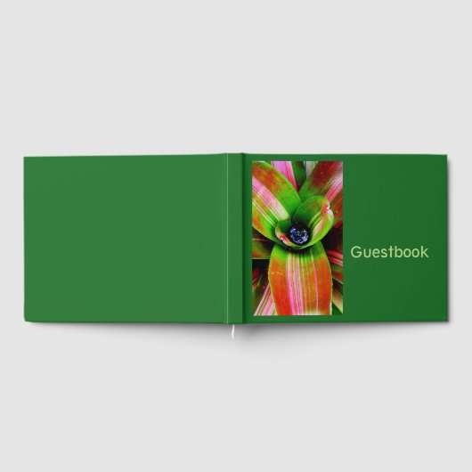 Livre D'or Feuillage de brome tropical (Complet)