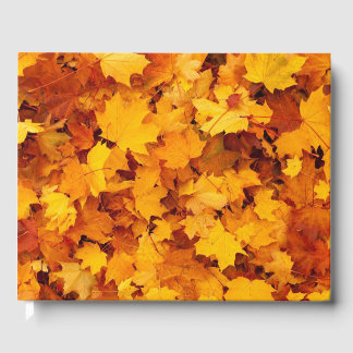Livre D'or Feuilles d'automne