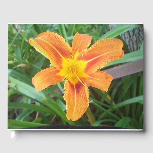 Livre D'or Fleur orange (Recto)