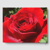 Livre D'or Fleur rose rouge vif Belle florale (Verso)