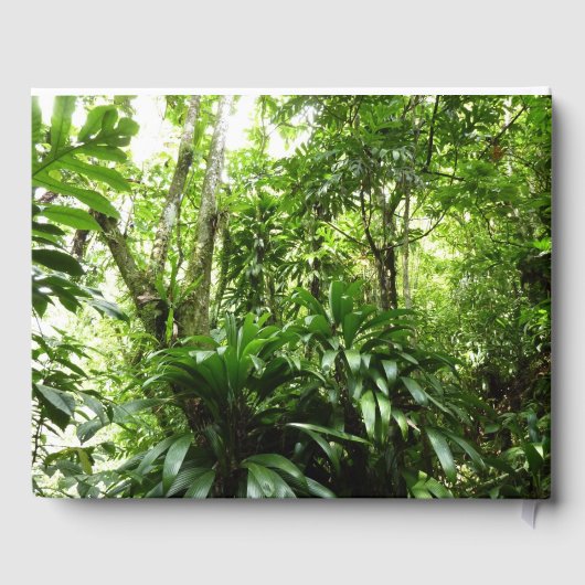 Livre D'or Forêt de pluie dominicaine I Nature verte tropical (Verso)