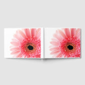 Livre D'or Gerbera Daisy (Complet)