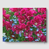 Livre D'or Godetia Et Lobelia (Verso)