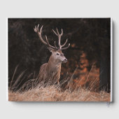 Livre D'or Grand White Tail Buck Memorial (Verso)