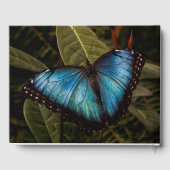 Livre D'or Gros, beau, bleu, papillon (Verso)