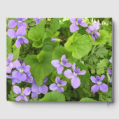 Livre d'or - Herb Violets (Verso)