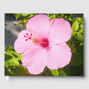 Livre D'or Hibiscus rose Fleur tropicale
