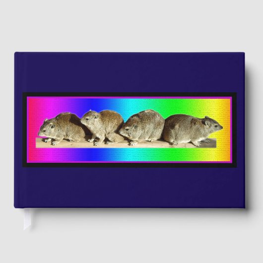 Livre D'or Hyrax africain froid (Recto)
