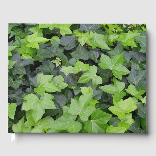 Livre D'or Impression botanique verte Ivy (Recto)