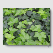 Livre D'or Impression botanique verte Ivy (Verso)