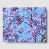 Livre D'or Jacaranda Blossoms (Verso)