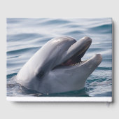 Livre D'or Joyeux dauphin souriant dans l'eau (Verso)