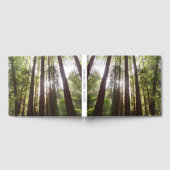 Livre D'or Jusqu'aux séquoias du matin (Complet)