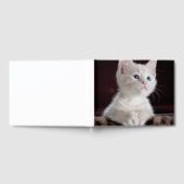 Livre D'or Kitten blanc vulnérable (Complet)