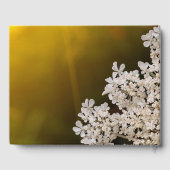 Livre D'or La dentelle de la reine Anne Mémoires mariages fle (Verso)