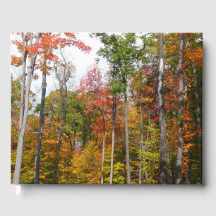 Livre D'or L'automne dans la forêt Photographie d'automne col