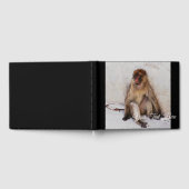 Livre D'or Lazy Monkey (Complet)