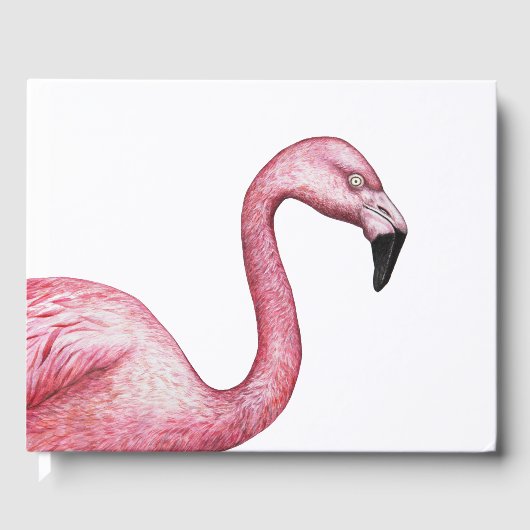 Livre D'or Le Flamant rose (Recto)