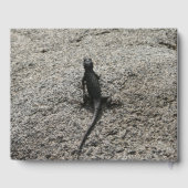 Livre D'or Lézard noir (Verso)