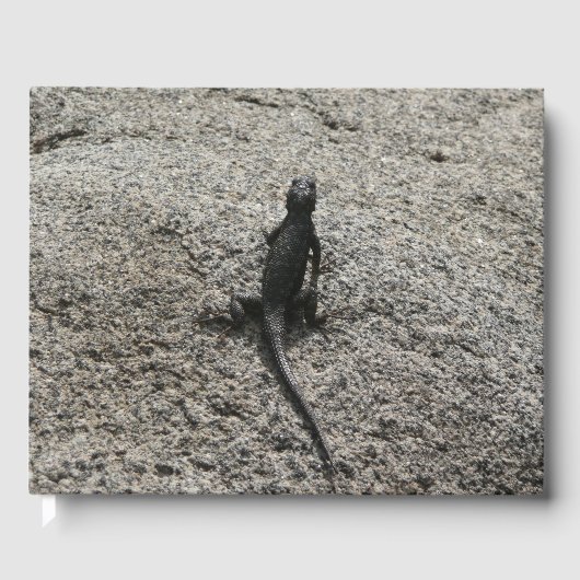 Livre D'or Lézard noir (Recto)