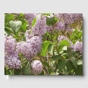 Livre D'or Lilac Bush Belles fleurs de printemps violettes