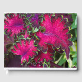 Livre D'or Macro Coleus (Recto)