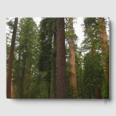 Livre D'or Mariposa Grove dans le parc national de Yosemite (Verso)