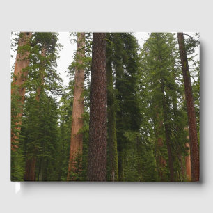 Livre D'or Mariposa Grove dans le parc national de Yosemite