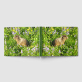 Livre D'or Marmot dans le Mont Rainier Fleurs sauvages (Complet)