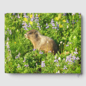 Livre D'or Marmot dans le Mont Rainier Fleurs sauvages (Verso)
