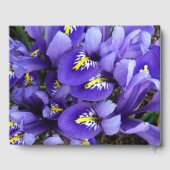 Livre D'or Miniature Bleu Irises Printemps Floral (Verso)