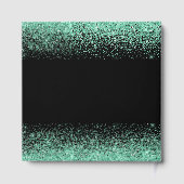 Livre D'or Mint Green Dress Faux Glitter Quinceanera (Verso)