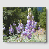 Livre D'or Mont Lupins (Verso)