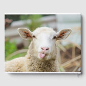 Livre D'or Mouton montrer langue (Verso)