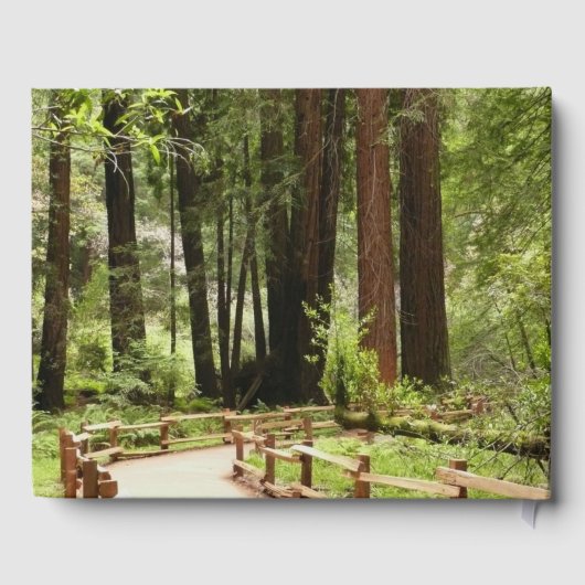 Livre D'or Muir Woods Chemin I Nature Photographie (Verso)