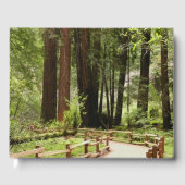 Livre D'or Muir Woods Chemin I Nature Photographie (Recto)