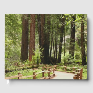 Livre D'or Muir Woods Chemin I Nature Photographie