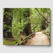 Livre D'or Muir Woods Path II Nature Photography (Verso)