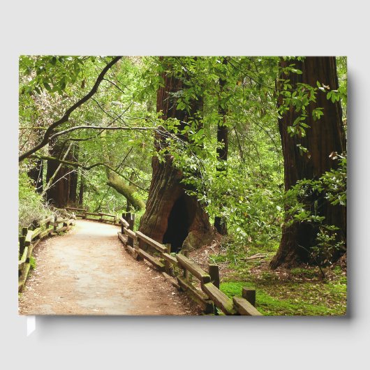 Livre D'or Muir Woods Path II Nature Photography (Recto)