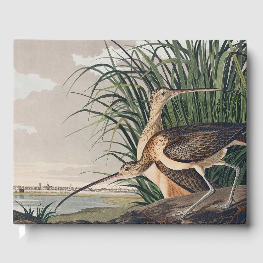Livre D'or Oiseau de Courlis à long bec Audubon (Recto)