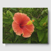 Livre D'or Orange Hibiscus Fleur Tropical Floral (Recto)